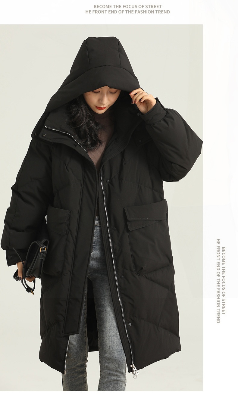 221cbb4e 1ae6 46c5 9b39 5b1495bb0bb8 Trans