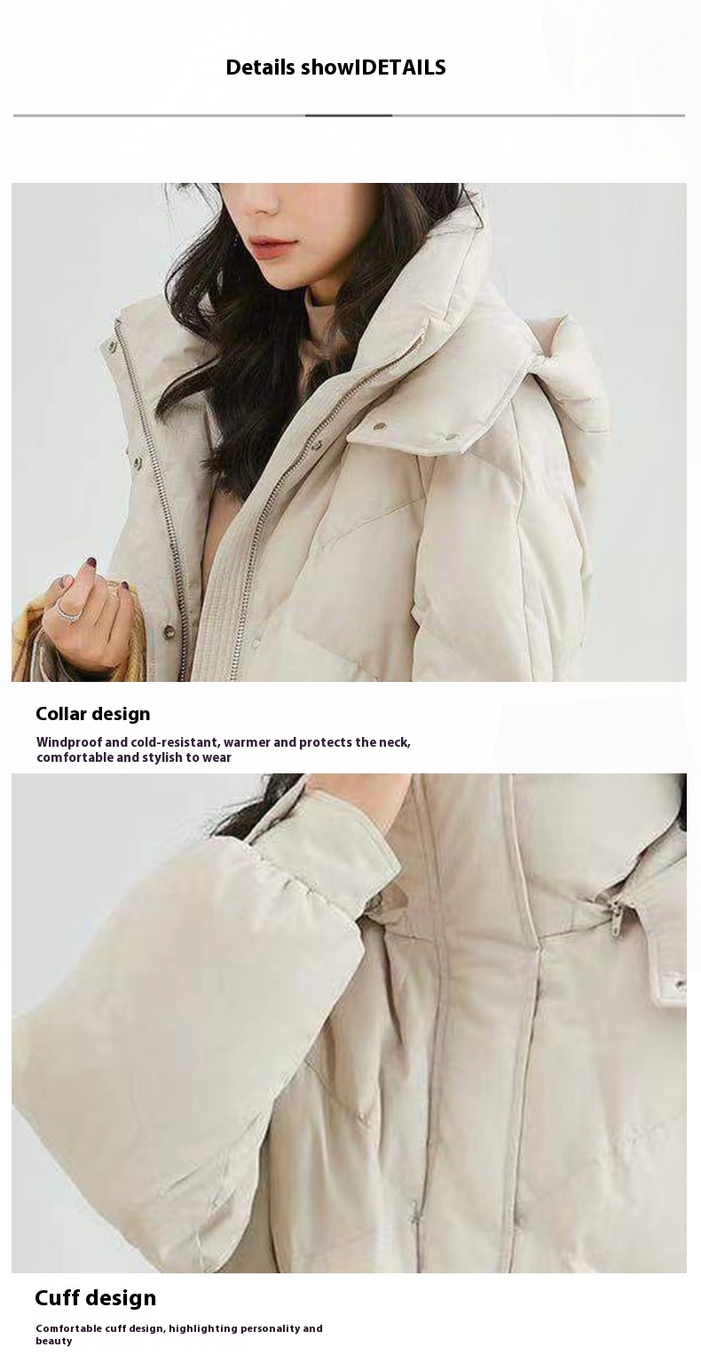 57efa986 6ea9 4ce5 9775 273cd9f8a408 Trans